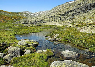 Parque regional de la Sierra de Gredos