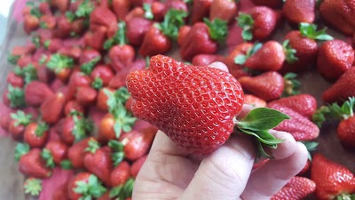 Photos of Berry World