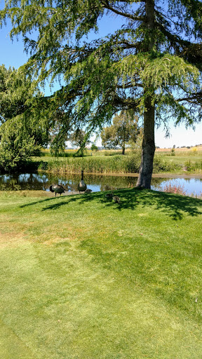 Golf Club «Rooster Run Golf Club», reviews and photos, 2301 E Washington St, Petaluma, CA 94954, USA