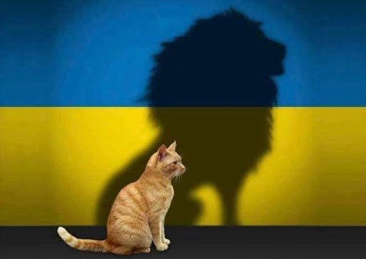 Thrift Store «Second Blessing Thrift Store Inc.», reviews and photos, 2323 Central Ave, Wichita, KS 67214, USA