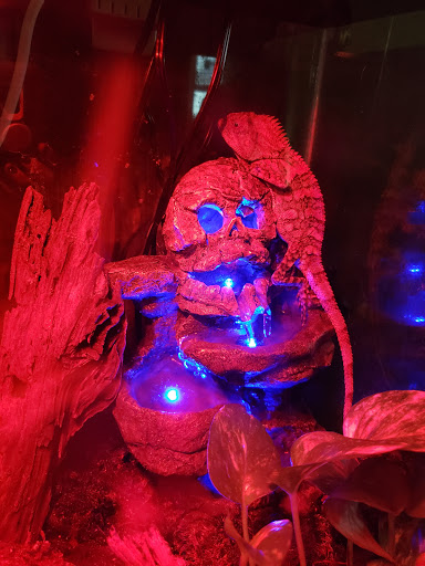 Pet Store «Cold Blooded Pets», reviews and photos, 176 Main St, Acushnet, MA 02743, USA