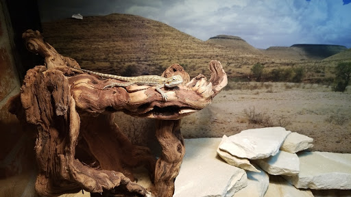 Pet Supply Store «Petco Animal Supplies», reviews and photos, 280 Kensington Blvd, Slidell, LA 70458, USA