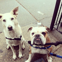 Not The Rug - Photo 7 - Car repair in Brooklyn, NY, New York