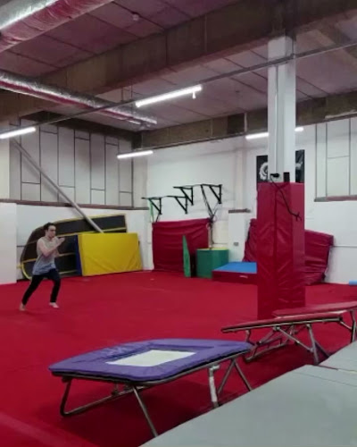 Reviews of Adult Gymnastics London: Over Gravity Gymnastics in London - Gym