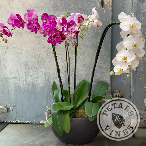 Florist «Petals & Vines», reviews and photos, 410 Main St E, Monmouth, OR 97361, USA