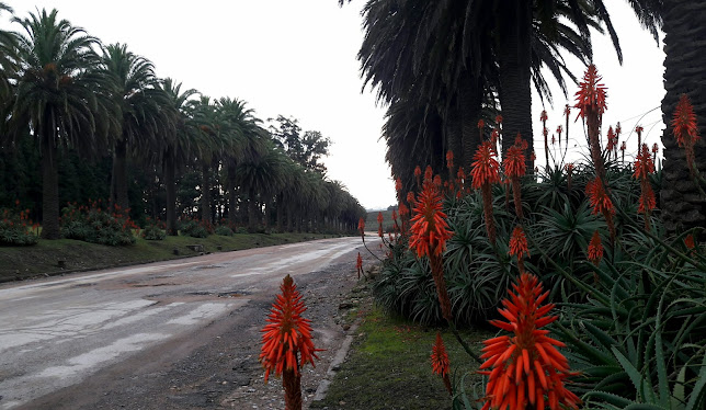 HMXH+9GM, 30000 Minas, Departamento de Lavalleja, Uruguay