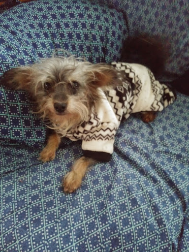 Pet Supply Store «PetSmart», reviews and photos, 1276 Bald Hill Rd, Warwick, RI 02886, USA