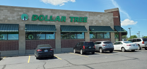 Dollar Store «Dollar Tree», reviews and photos, 1732 Dix Hwy, Lincoln Park, MI 48146, USA