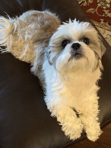 731 FL-50, Clermont, FL 34711, USA