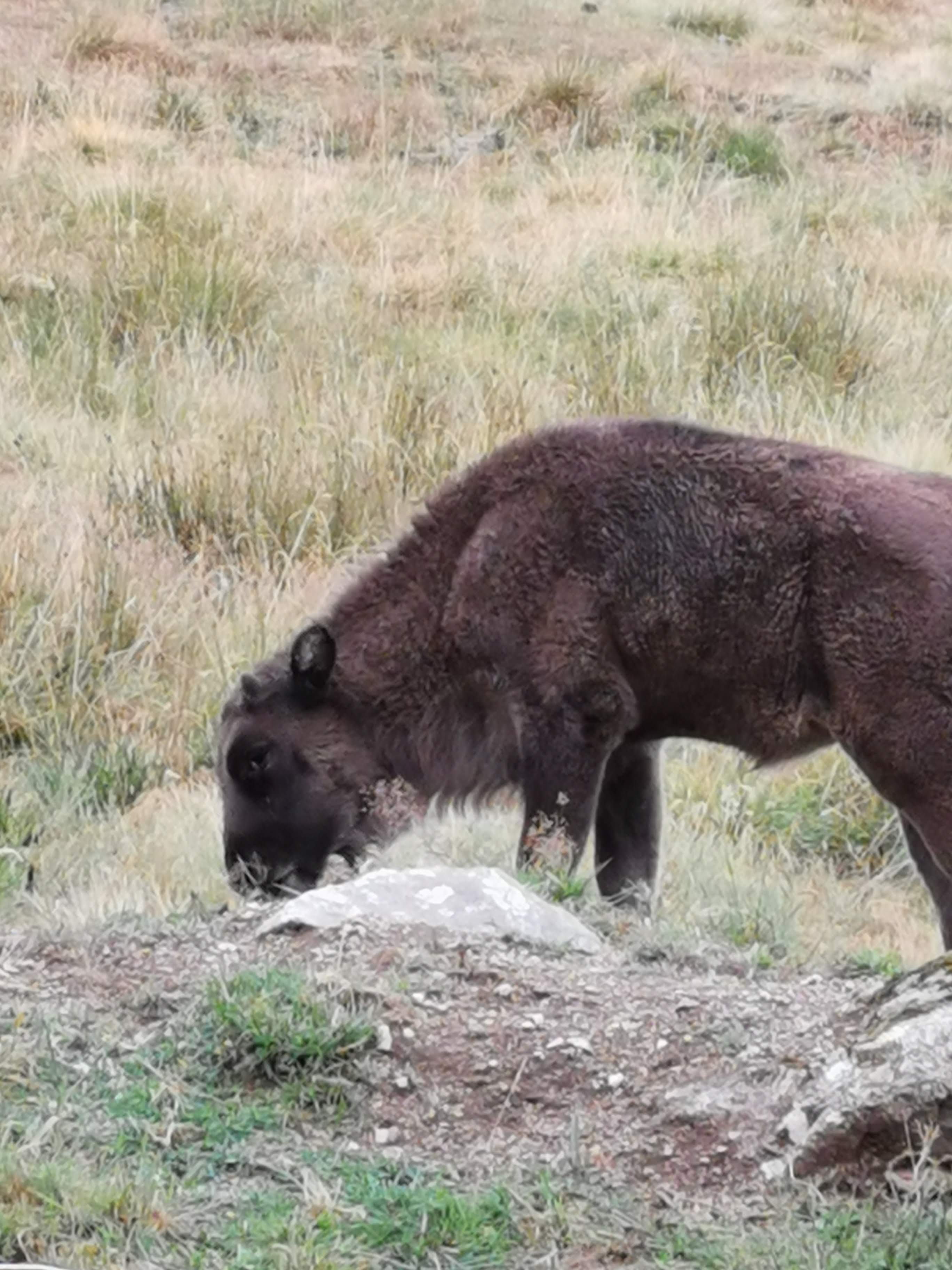 Photo n° 1 de l'avis de Sandrine.e fait le 09/08/2019 à 14:07