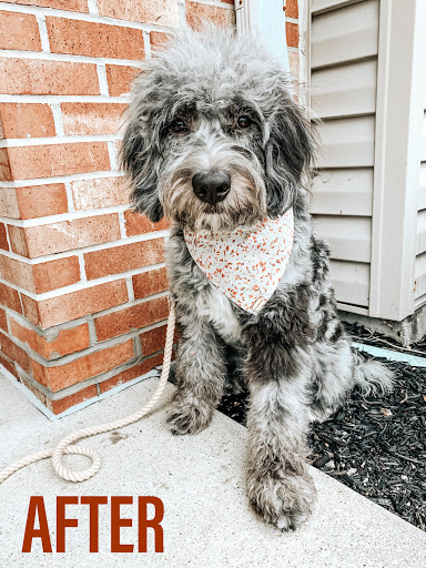 Pet Supply Store «PetSmart», reviews and photos, 13923 Cedar Rd, South Euclid, OH 44118, USA