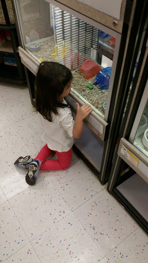 Pet Supply Store «Petco Animal Supplies», reviews and photos, 1951 N Military Trl c, West Palm Beach, FL 33409, USA