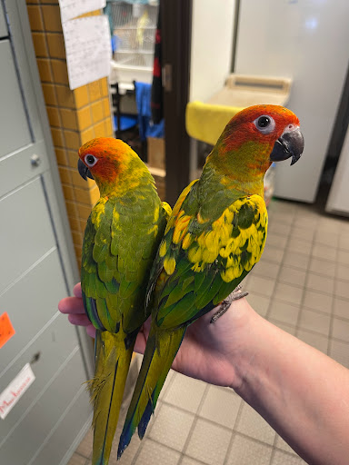 Pet Supply Store «House of Pets Inc», reviews and photos, 29500 Ford Rd, Garden City, MI 48135, USA