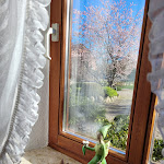 Photo n°2 de l'avis de Constance.e fait le 03/04/2023 à 14:06 sur le  Land-Café Jöns à Güby