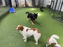 Pet Paradise Tallahassee - Photo 3 - Car repair in Tallahassee, FL, Tallahassee