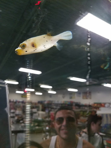 Pet Supply Store «Saluda River Pet», reviews and photos, 130 Robin Helton Dr, Boiling Springs, SC 29316, USA