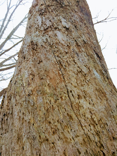 Park «Nature Center At Shaker Lakes», reviews and photos, 2600 S Park Blvd, Cleveland, OH 44120, USA