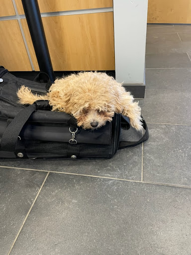 Subaru Dealer «Matthews Subaru», reviews and photos, 3013 Old Vestal Rd a, Vestal, NY 13850, USA