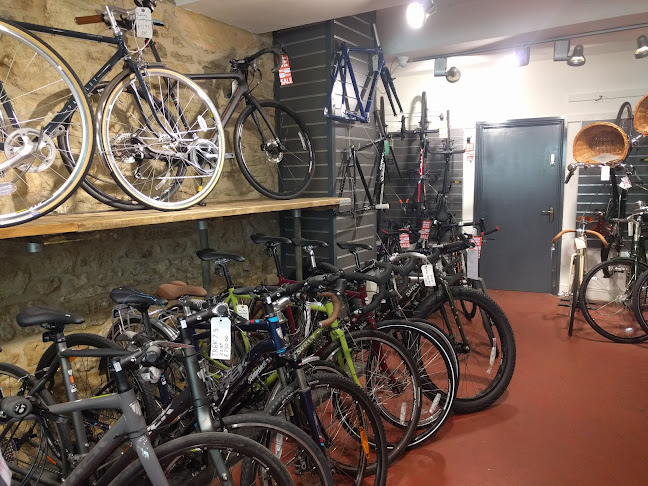 Bike Zone - Bicycle store
