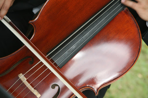 Millenius Strings