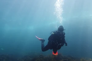 Flinders University Underwater Club image