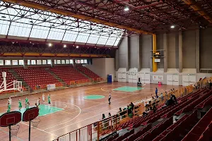 Palalassio - Palace of sports Ravizza image