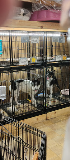 Pet Store «Little Paws Dog Shop LLC», reviews and photos, 19 E Main St, Palmyra, PA 17078, USA