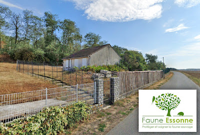 Centre de soins Faune Essonne à Vert-le-Grand
