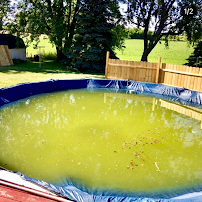 Little Guy Pool Cleaning Services - Photo 6 - Car repair in , Lorain