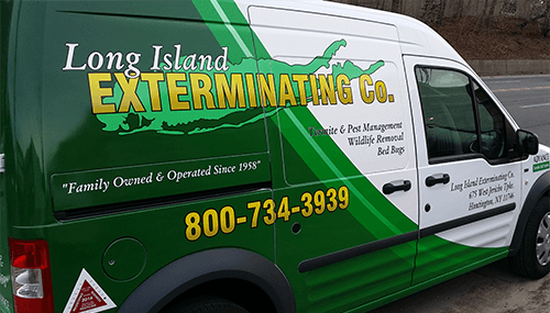 Long Island Exterminating Company image 2