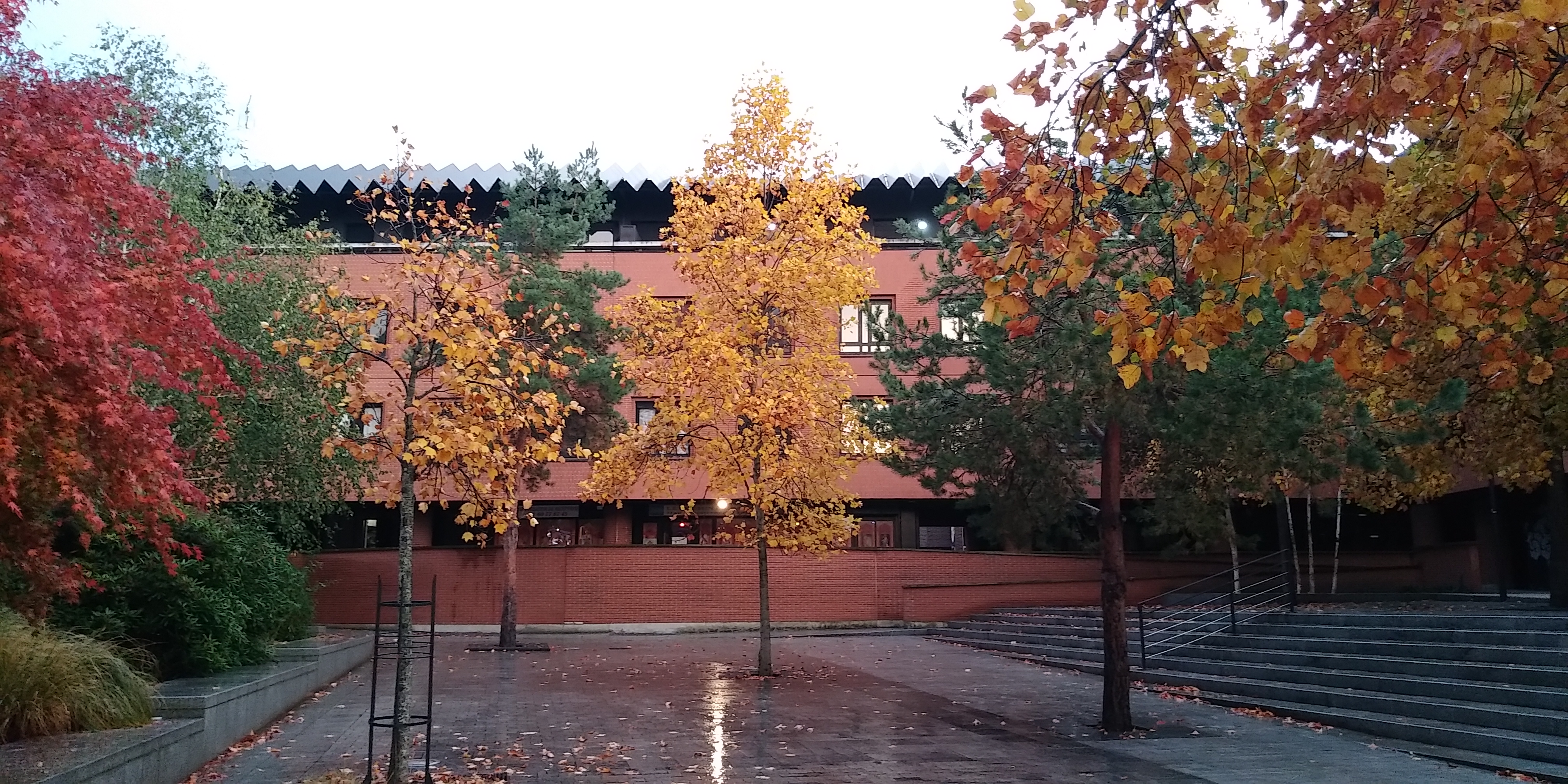 Photo n° 1 de l'avis de Golden.l fait le 29/10/2021 à 18:03