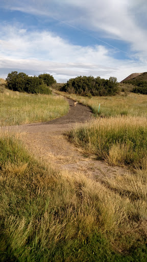 Golf Course «Red Hawk Ridge Golf Course», reviews and photos, 2156 Red Hawk Ridge Dr, Castle Rock, CO 80109, USA