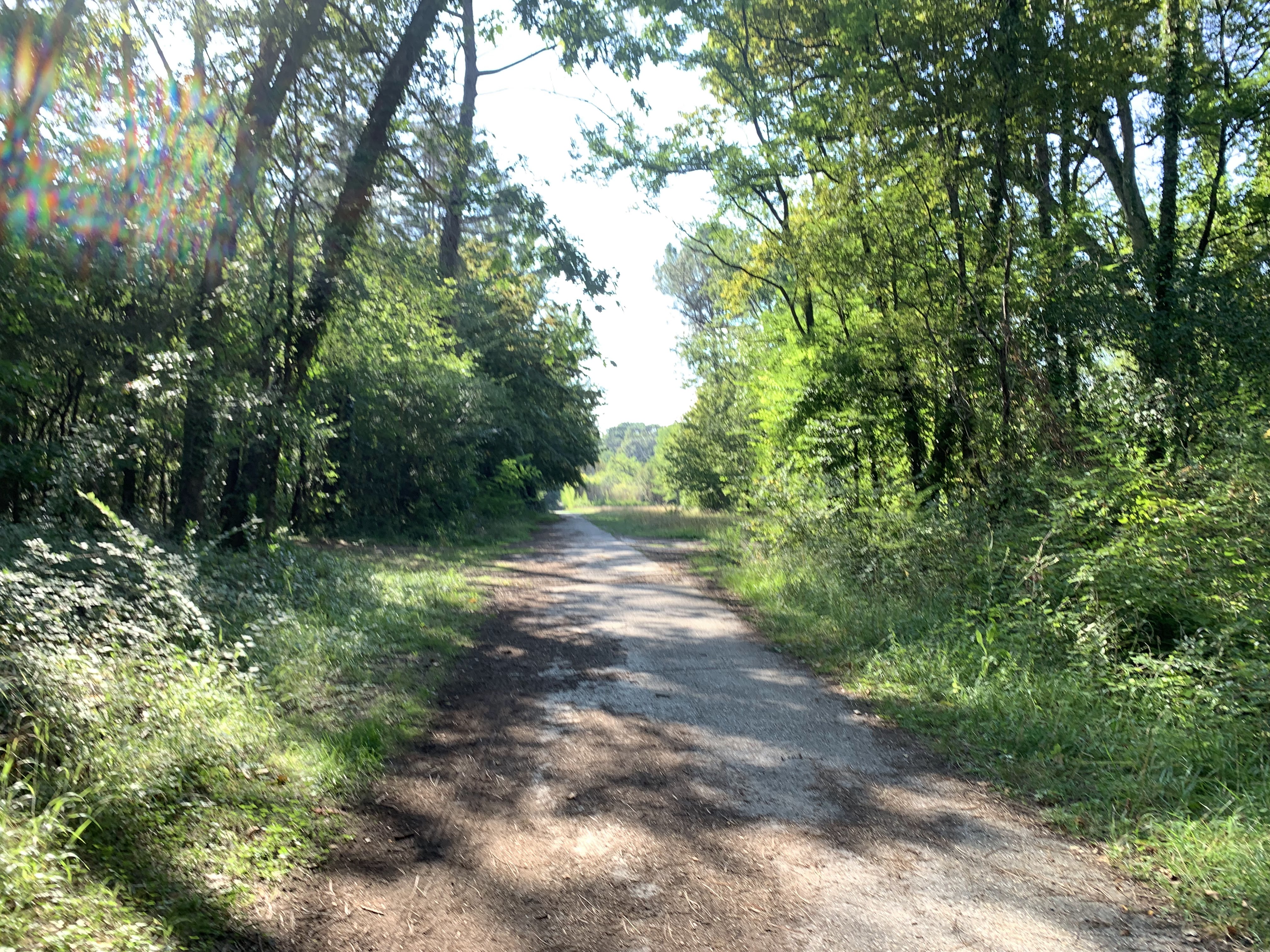 Photo n° 17 de l'avis de Esteban.R fait le 17/08/2023 à 16:46
