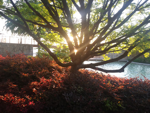 Movie Theater «Cinemark 12 Rockwall», reviews and photos, 2125 Summer Lee Dr, Rockwall, TX 75032, USA