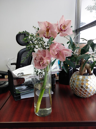 Florist «The Flower Nook», reviews and photos, 3020 Lamberton Blvd, Orlando, FL 32825, USA