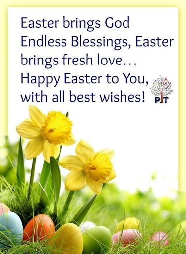 Dry Cleaner «Eco-Friendly Dry Cleaner», reviews and photos, 24 Old Albany Post Rd, Croton-On-Hudson, NY 10520, USA