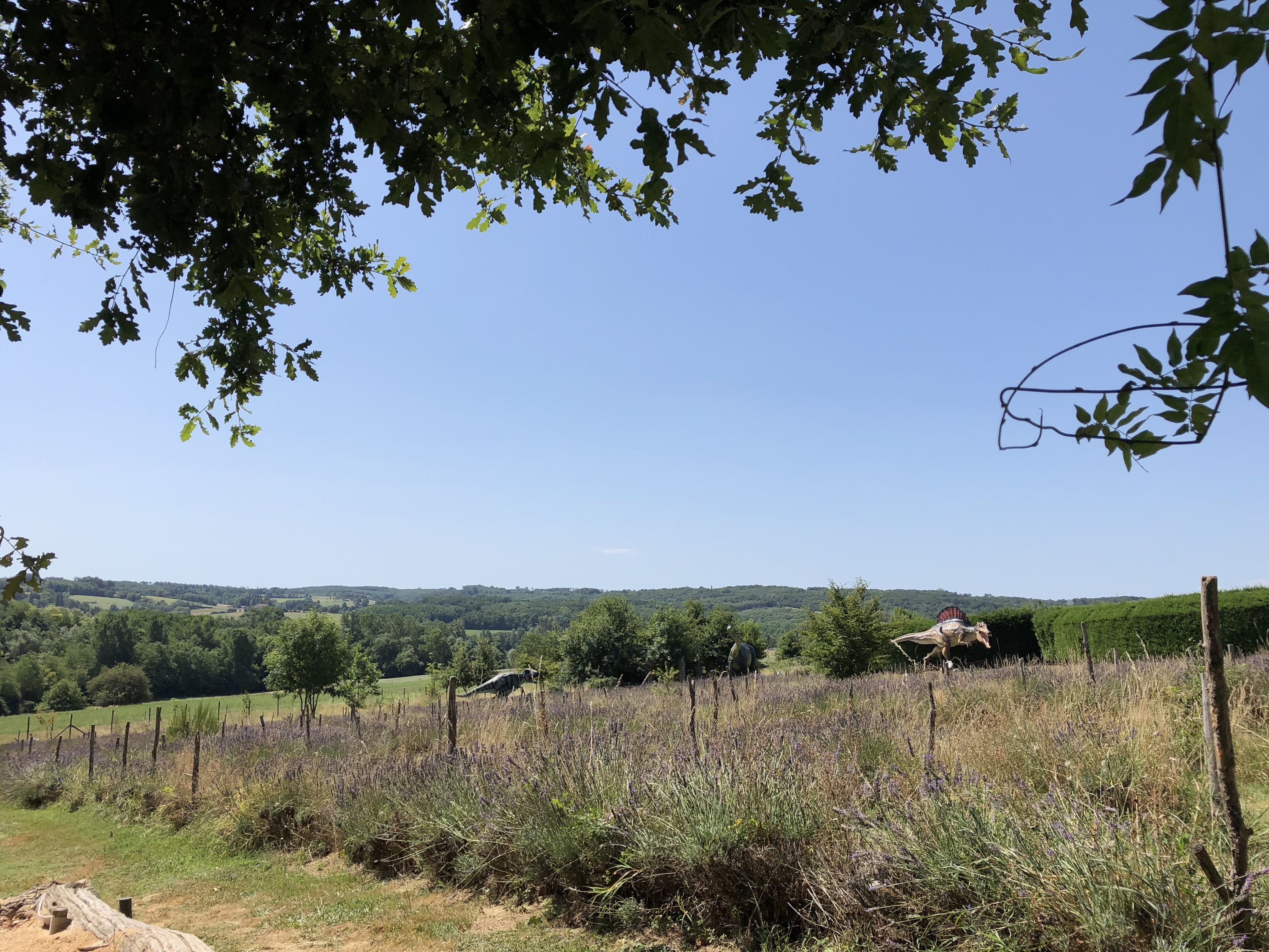 Photo n° 27 de l'avis de Wouter.t fait le 18/08/2019 à 13:45