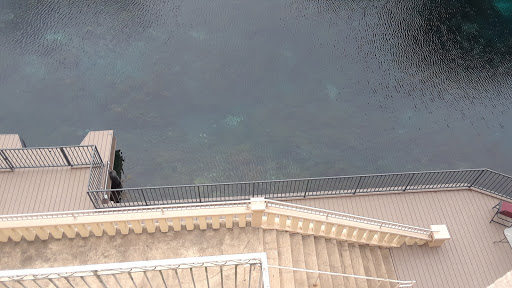 Non-Profit Organization «The Meadows Center for Water and the Environment», reviews and photos, 201 San Marcos Springs Dr, San Marcos, TX 78666, USA