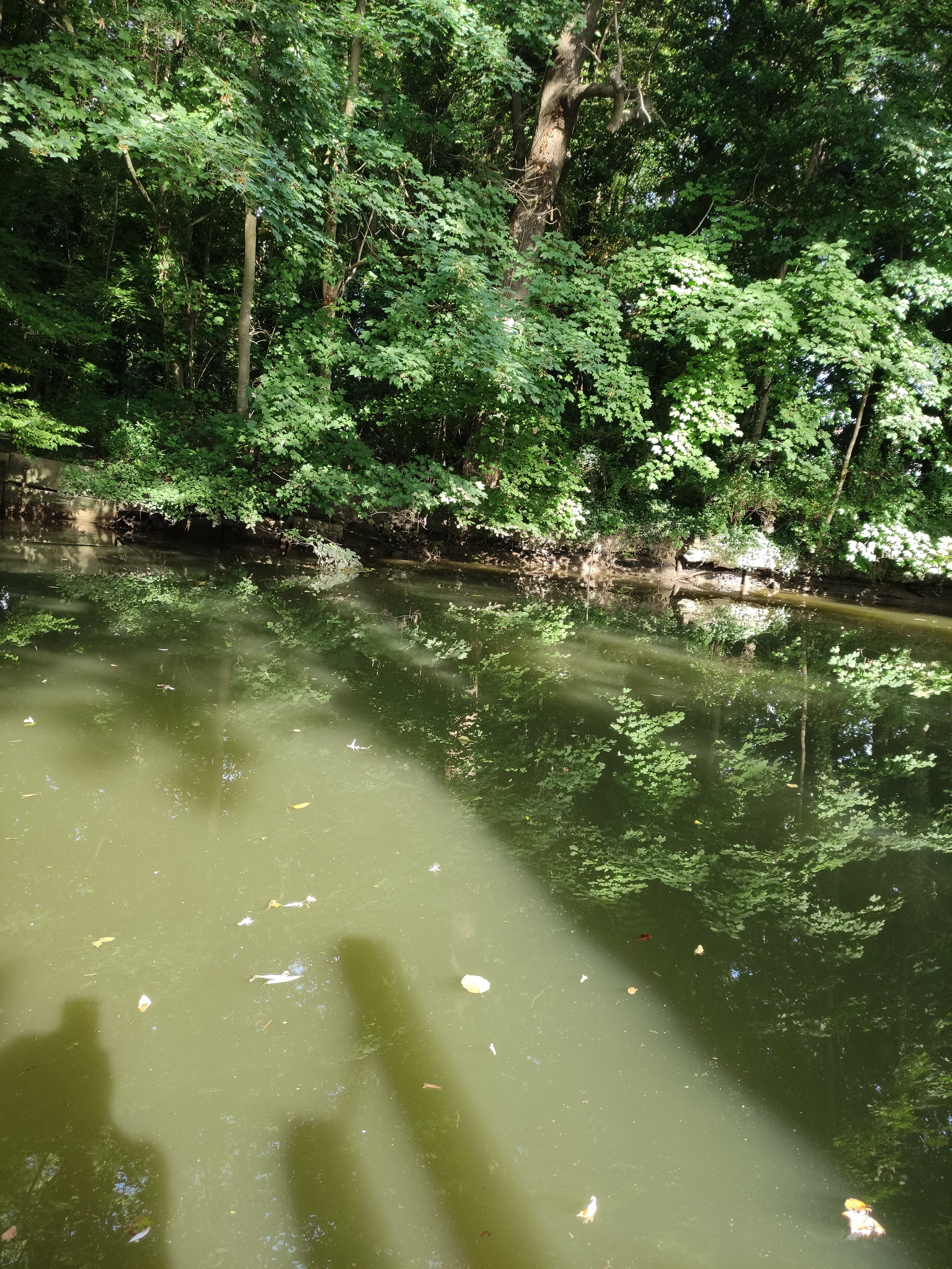 Photo n° 9 de l'avis de Naura.a fait le 04/09/2021 à 22:52
