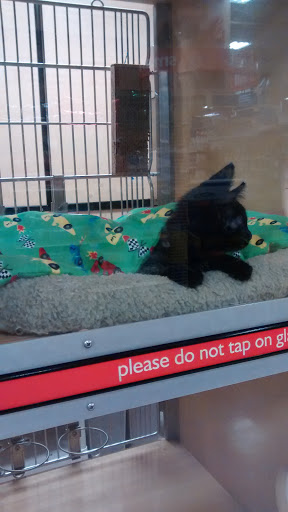 Pet Supply Store «PetSmart», reviews and photos, 4485 24th Ave, Fort Gratiot Twp, MI 48059, USA