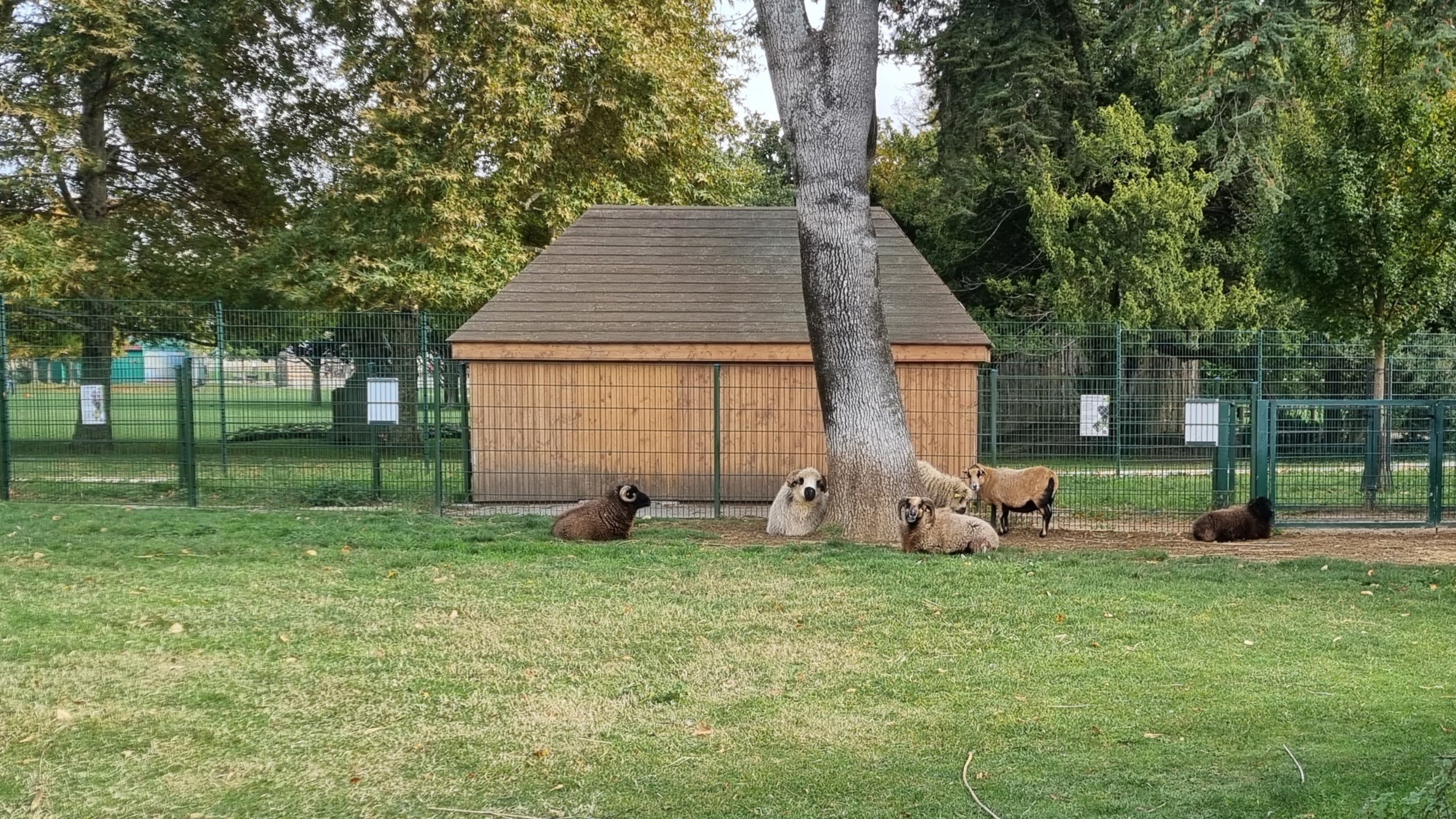 Photo n° 16 de l'avis de Joelle.o fait le 07/11/2021 à 16:24