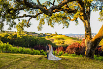 Sweetbay Photography - Photo 9 - Car repair in , San Francisco