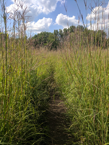 Nature Preserve «Bluff Spring Fen», reviews and photos, Spring Grove Ave, Elgin, IL 60120, USA