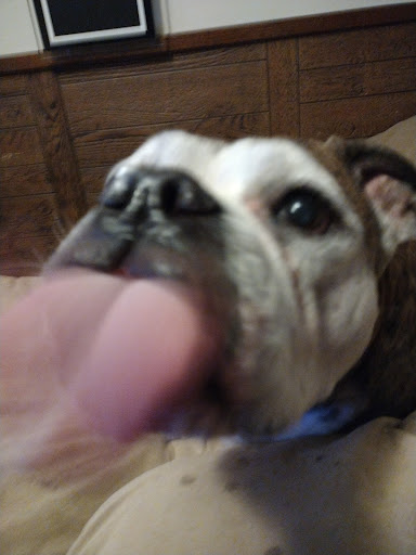 Pet Supply Store «Petco Animal Supplies», reviews and photos, 244 Pioneer Trail, Chaska, MN 55318, USA