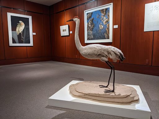 Art Museum «MONA», reviews and photos, 2401 Central Ave, Kearney, NE 68847, USA