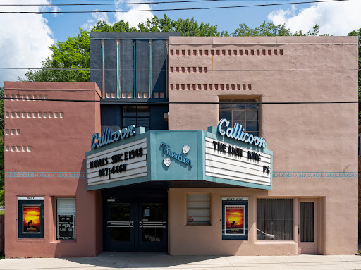 Movie Theater «Callicoon Theater», reviews and photos, 30 Upper Main St, Callicoon, NY 12723, USA