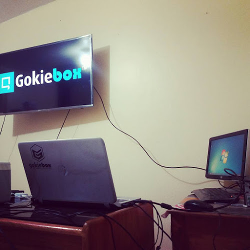 Opinii despre Gokiebox în Tarapoto - Tienda de informática