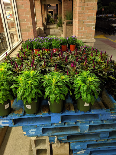 Grocery Store «Jewel-Osco», reviews and photos, 17930 Wolf Rd, Orland Park, IL 60467, USA