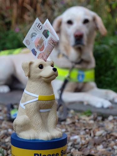 The Guide Dogs for the Blind Association - Liverpool
