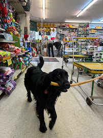 Clearview True Value Hardware & Feed - Photo 7 - Car repair in Snohomish, WA, Everett